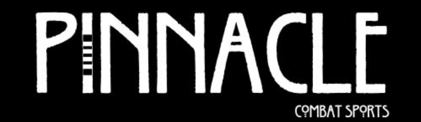 Main image of PINNACLE COMBAT SPORTS