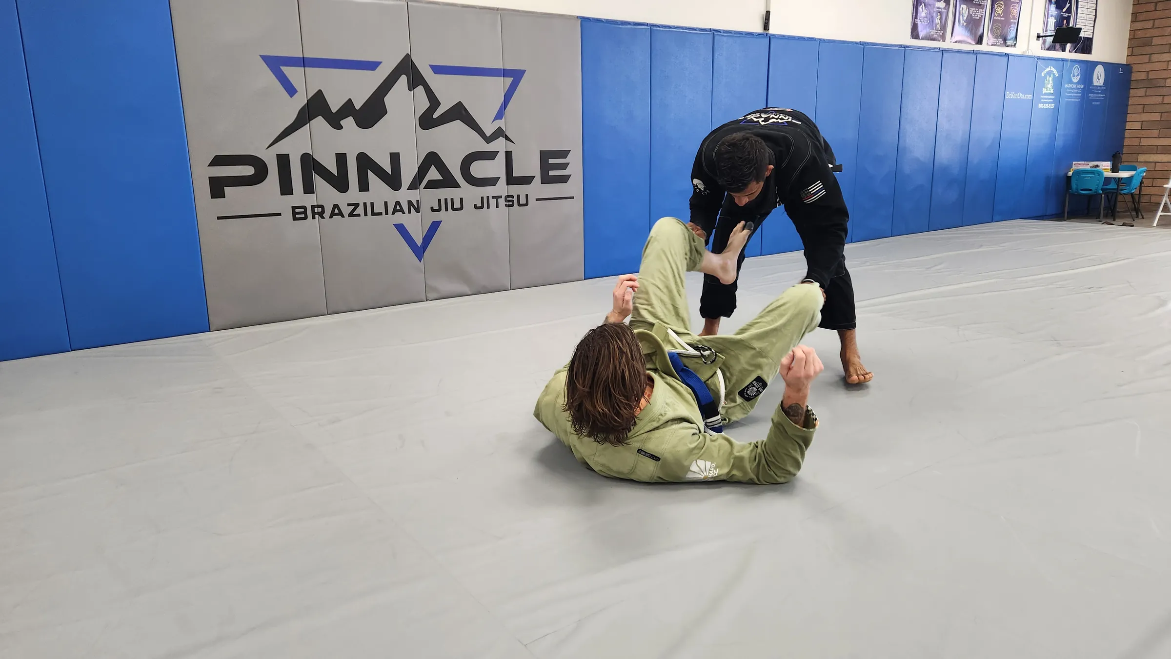 Main image of Pinnacle Fighting System