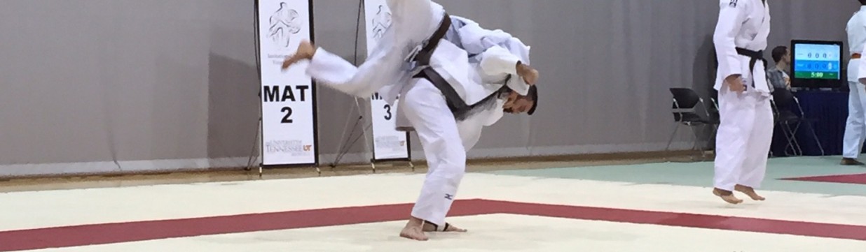 Main image of Pinnacle Judo