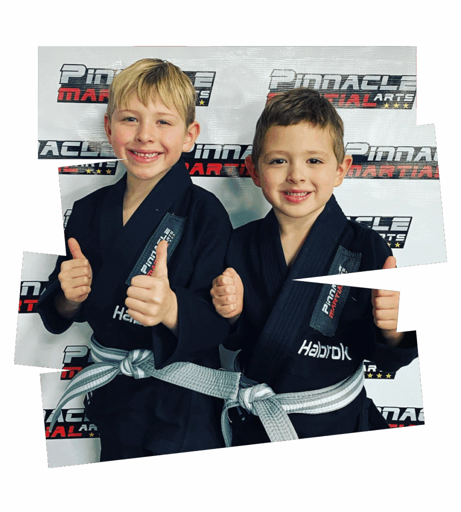 Main image of Pinnacle Martial Arts Brazilian Jiu Jitsu & MMA San Antonio
