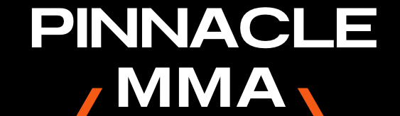 Main image of Pinnacle MMA fitness