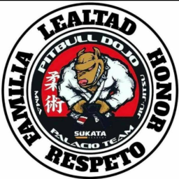 Main image of PITBULL DOJO - PALACIO TEAM