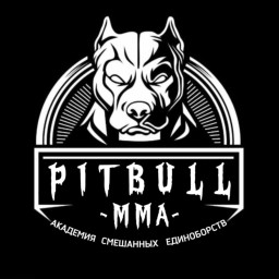 Main image of PitBull top team
