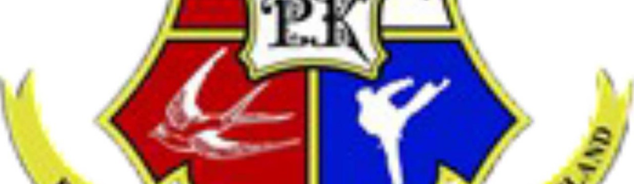 Main image of PK Gym Jujitsu