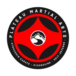 Main image of Plateau martial arts