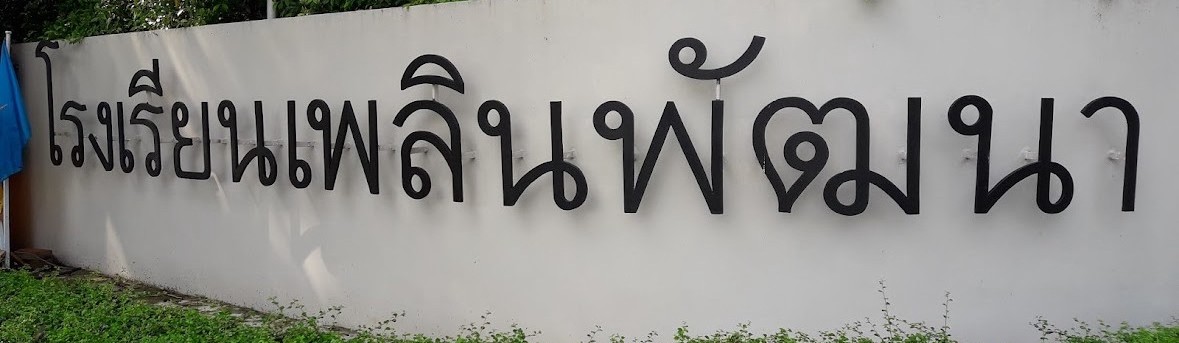Main image of Plearnpattana School