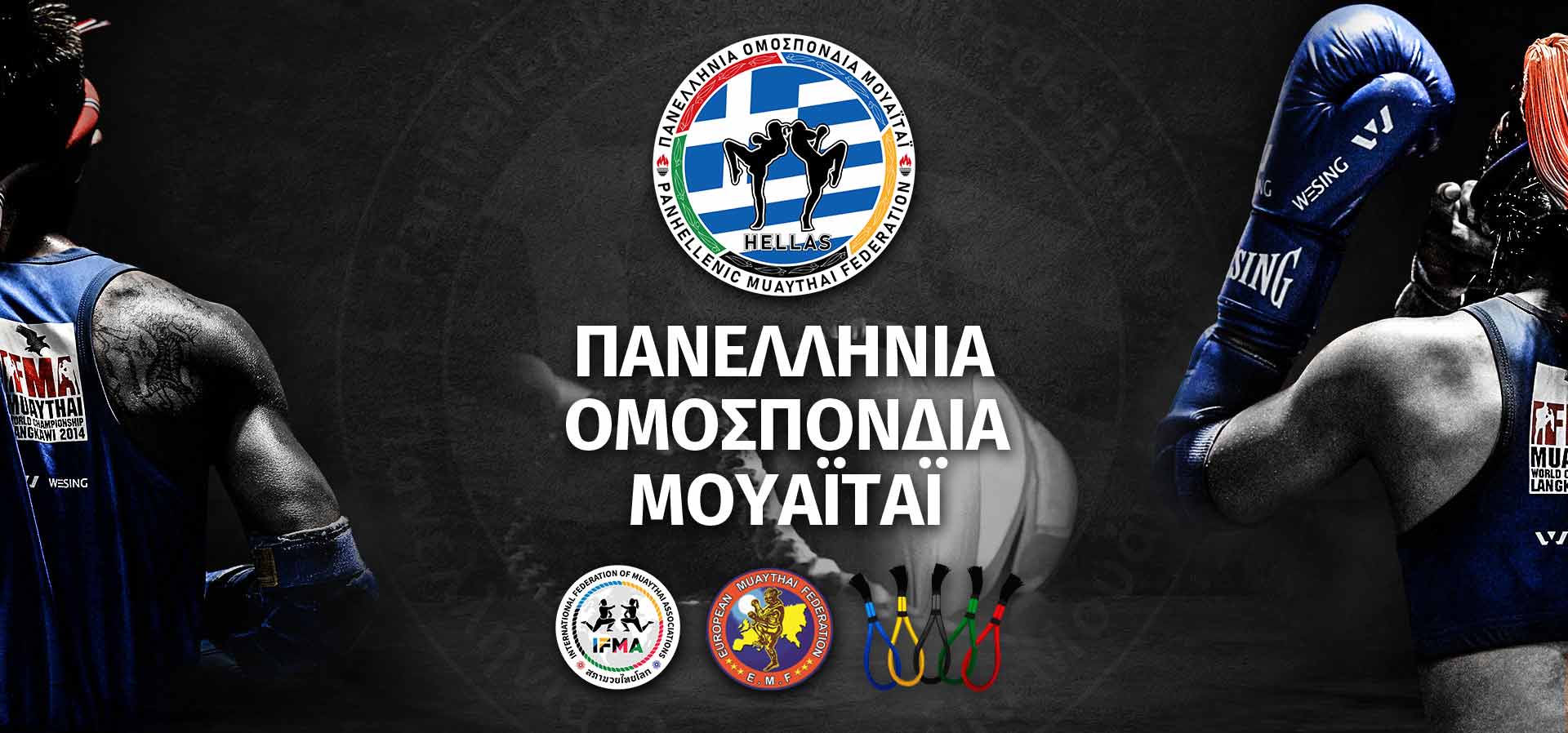 Main image of Pmf - Panhellenic Muaythai Federation / Panellinia Omospondia Mouaitai Pom