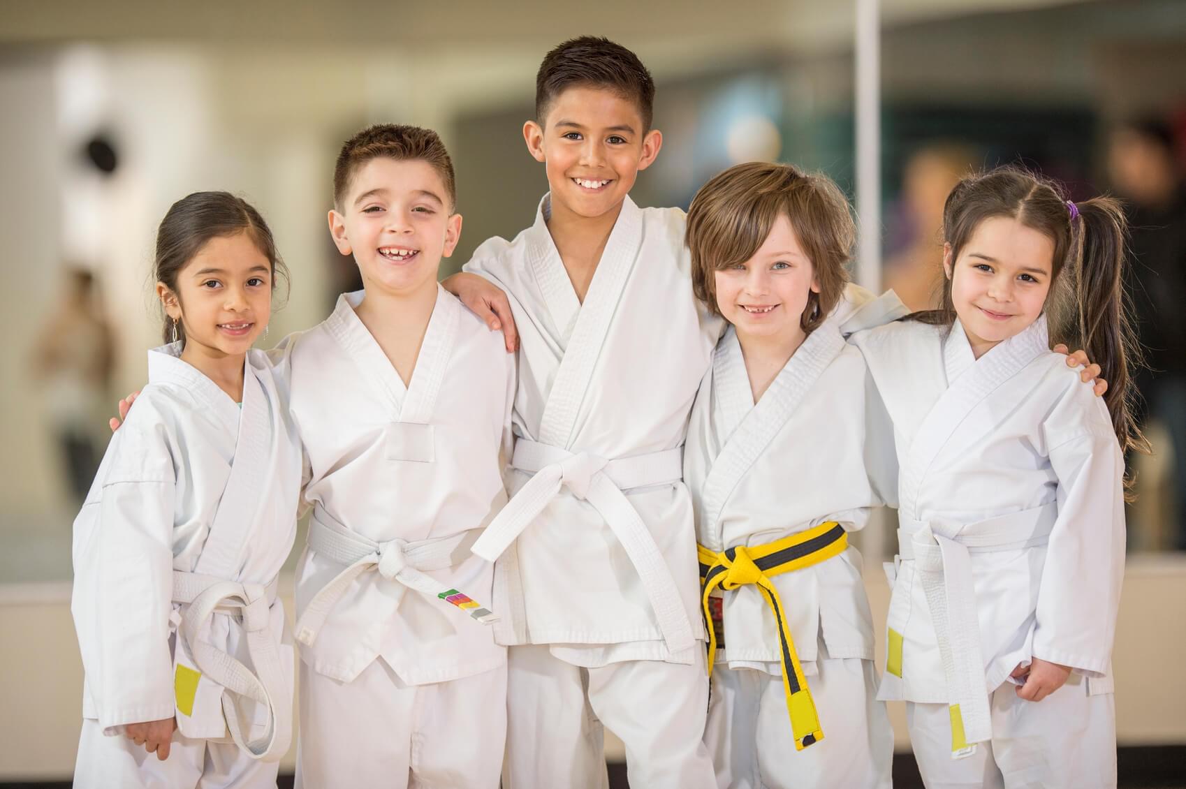 Main image of Pocono Crimson Dragon Karate