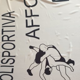 Main image of Polisportiva Affori Milano