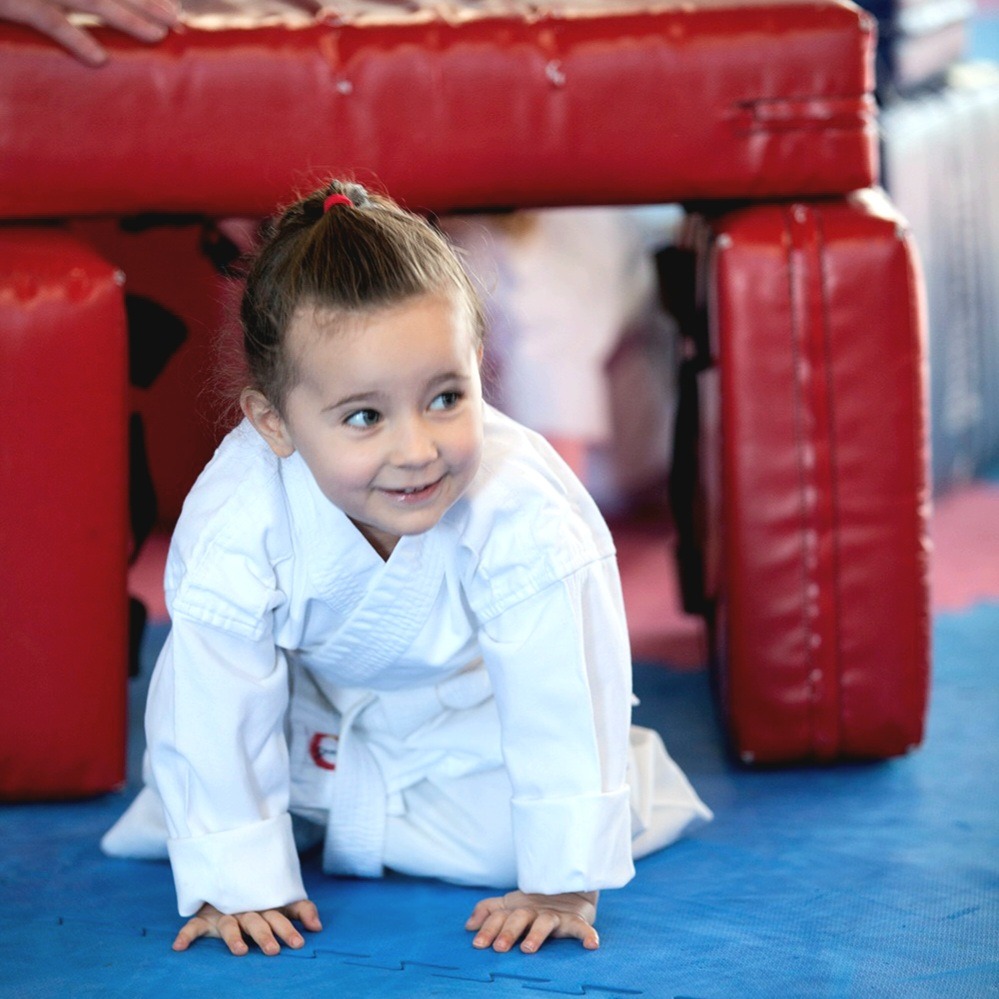 Main image of Pollet's Karate Academy