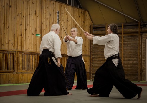Main image of Polska Akademia Aikido