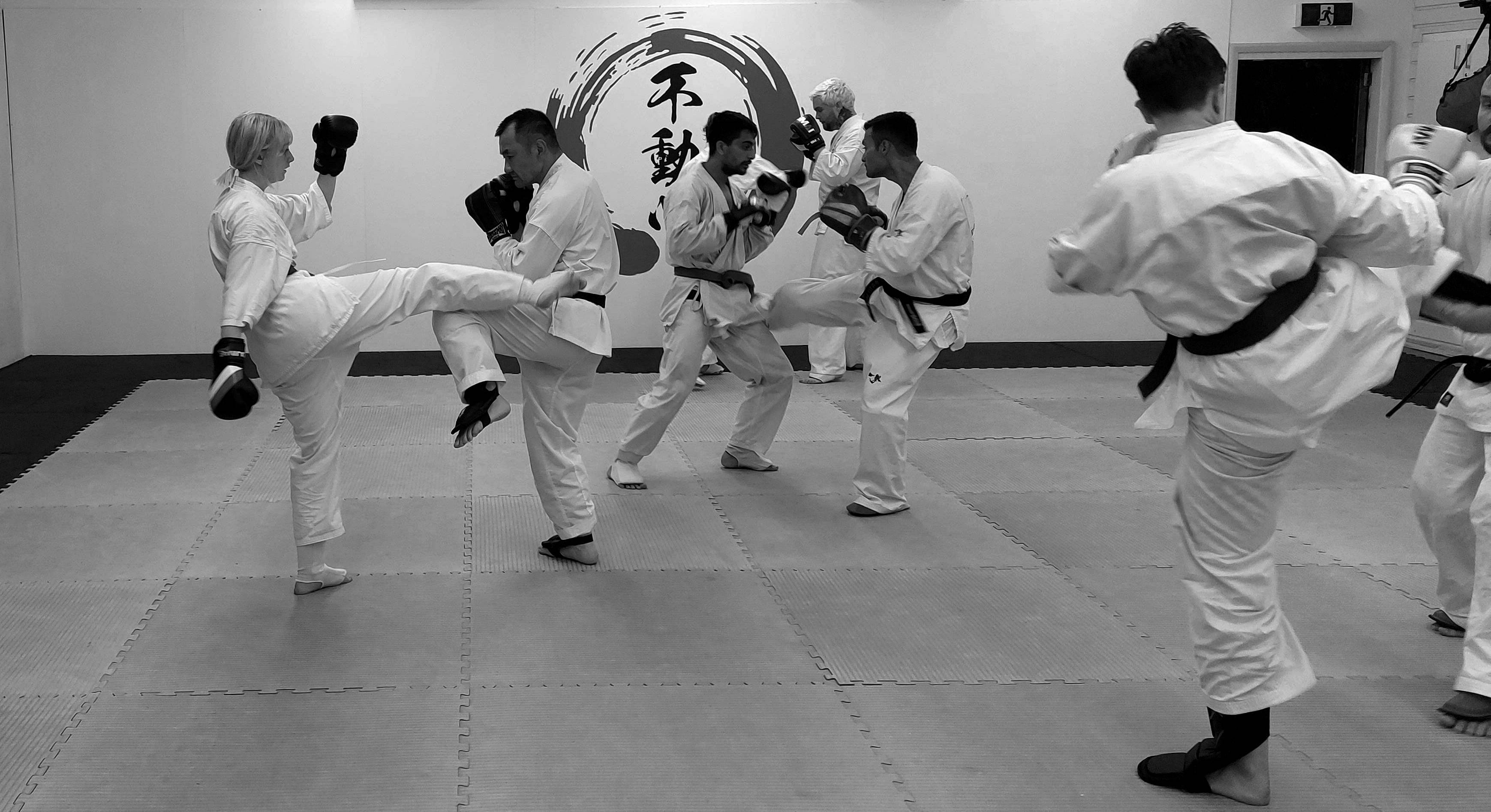 Main image of Poneke Kyokushin Karate Dojo