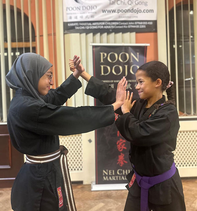 Main image of Poon Dojo Schools of Martial Arts Excellence