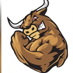 Main image of Power Bull