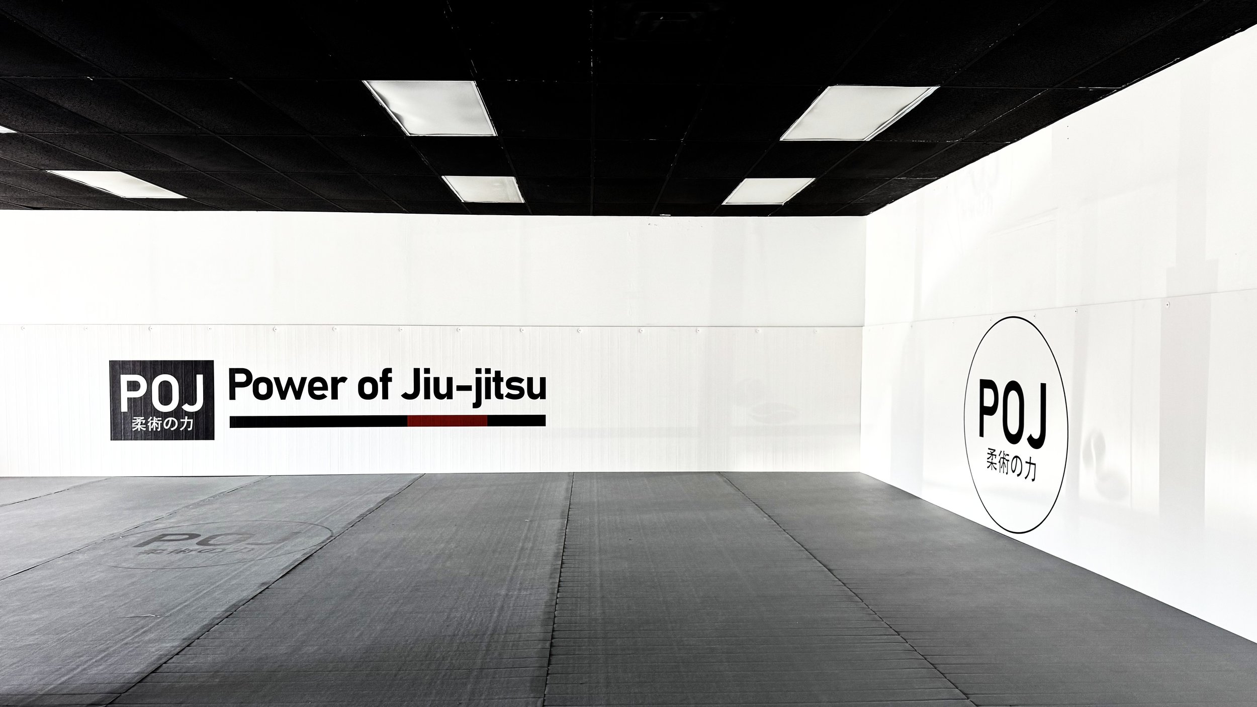 Power of Jiujitsu