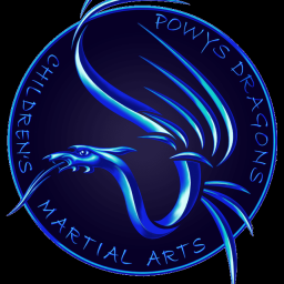 Main image of Powys Dragons