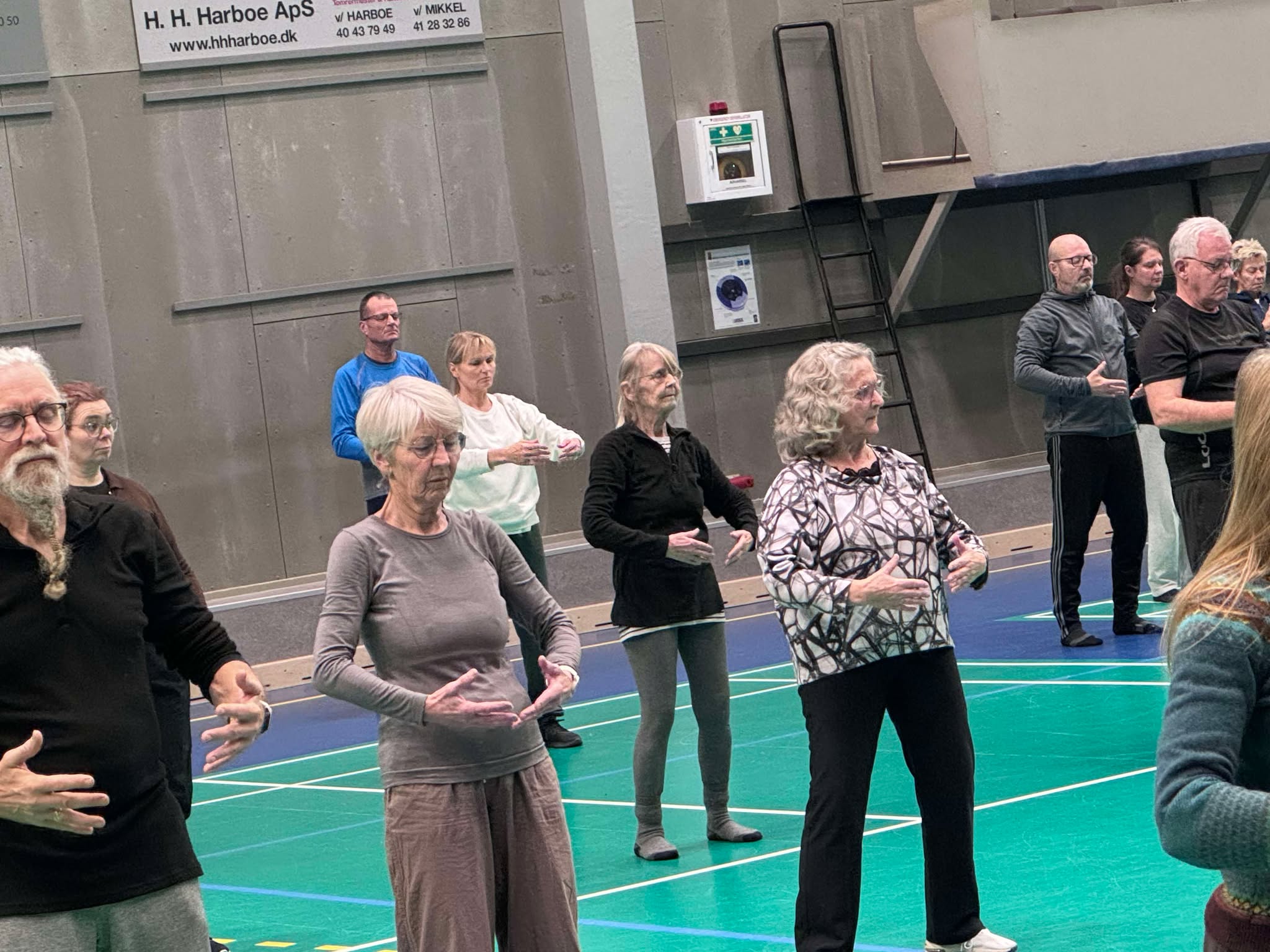 Main image of Practical Tai Chi Chuan Slagelse