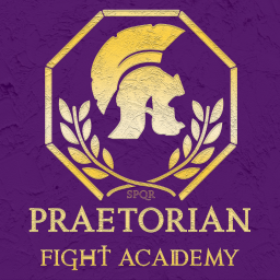 Main image of Praetorian Fight Academy