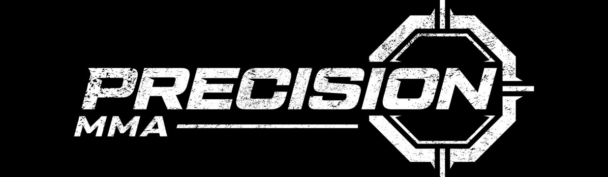 Main image of Precision MMA & Conditioning