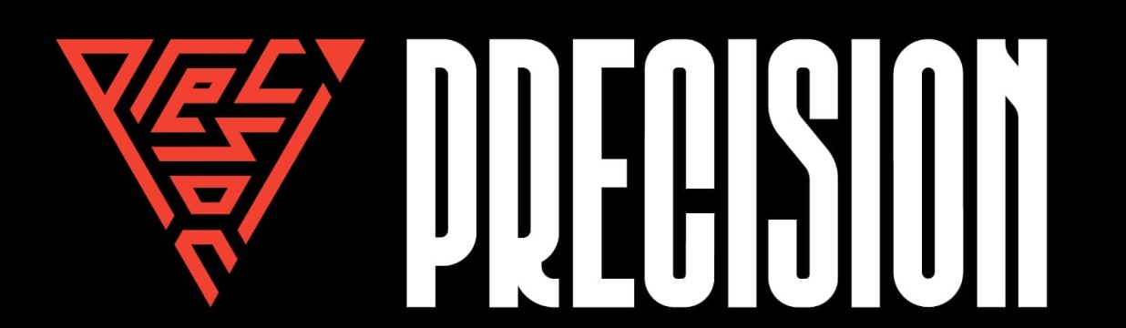 Main image of precision mmaandbjj