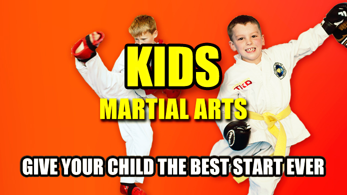 Main image of Premier Dojang