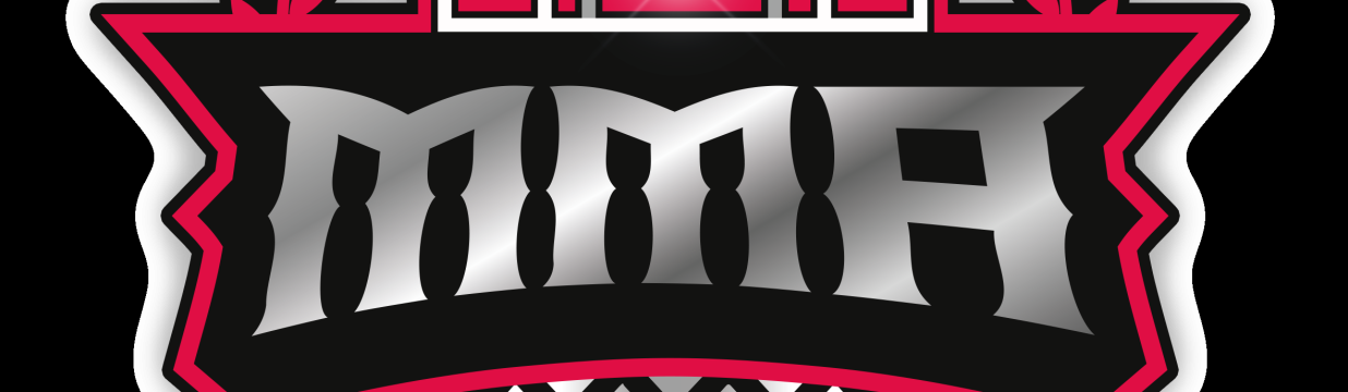 Main image of Premier Martial Arts (3287 S 14th St, Abilene)