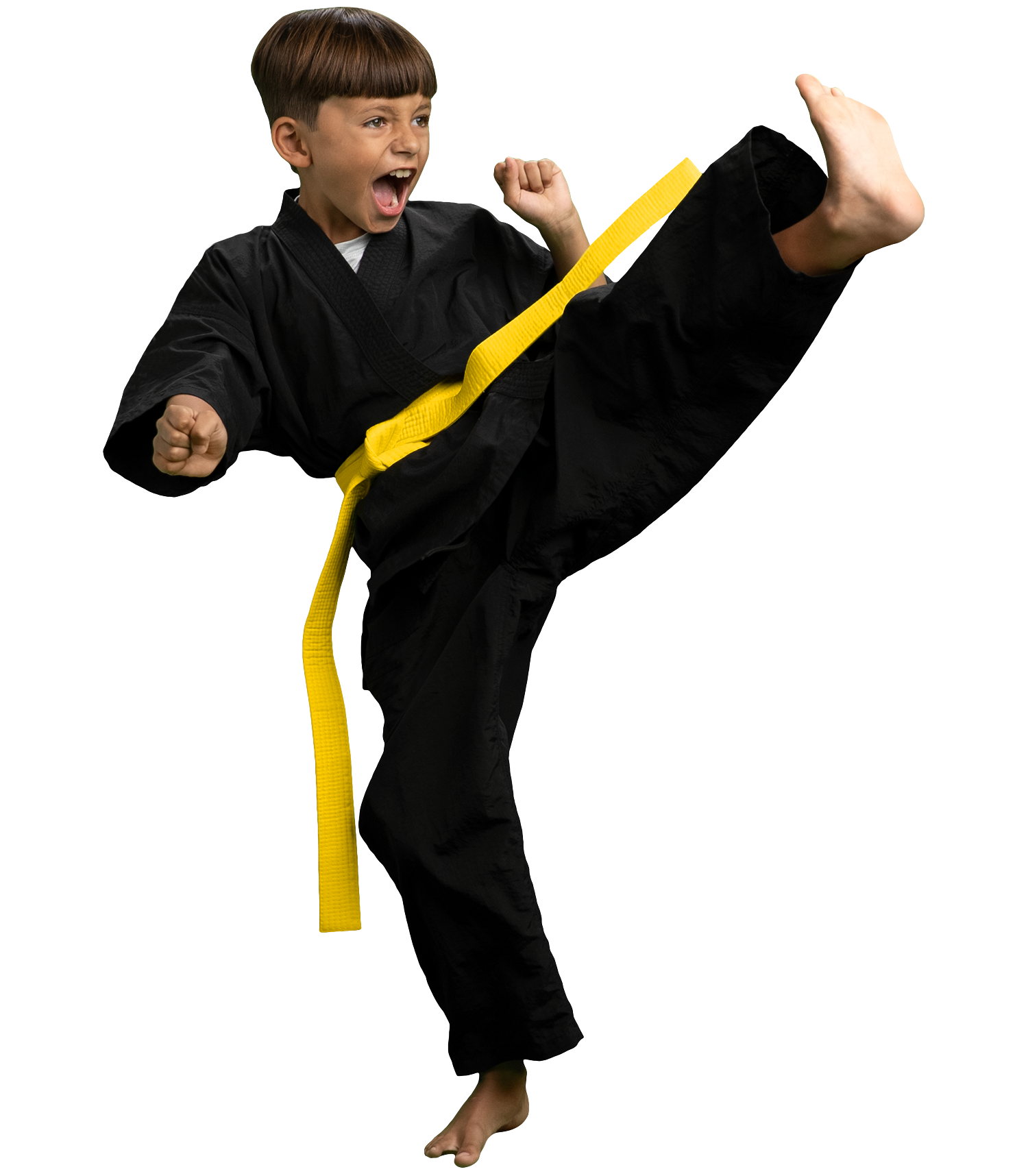 Main image of Premier Martial Arts Murrysville