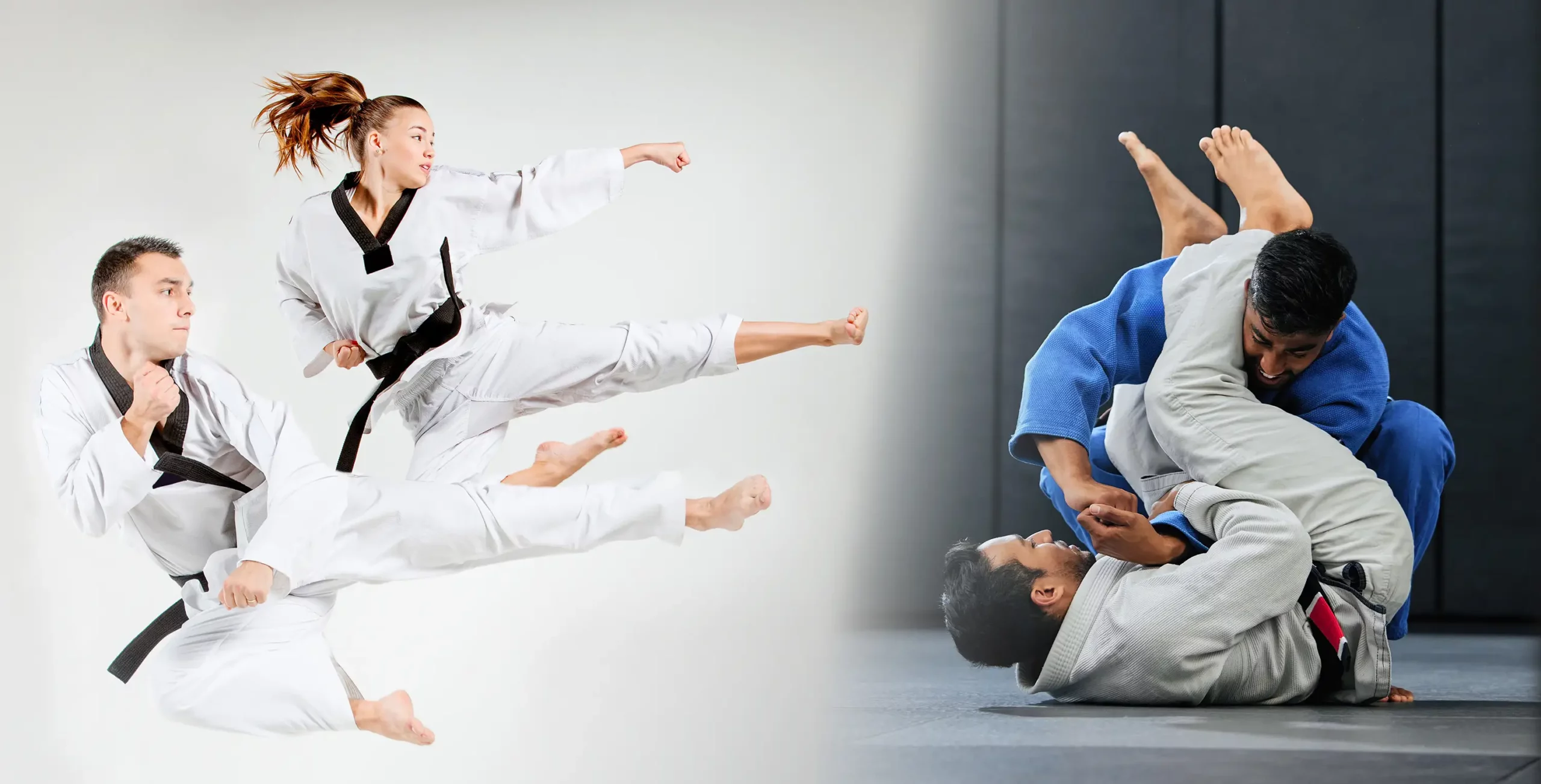 Main image of Premier Taekwondo