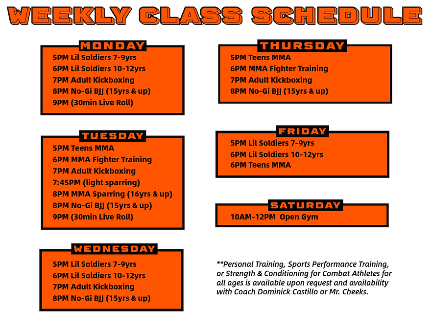 PRESS Forward MMA & Fitness