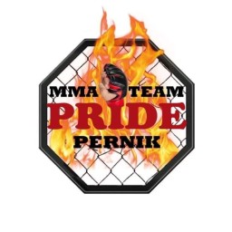 Main image of PRIDEE