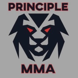 Main image of Principle MMA