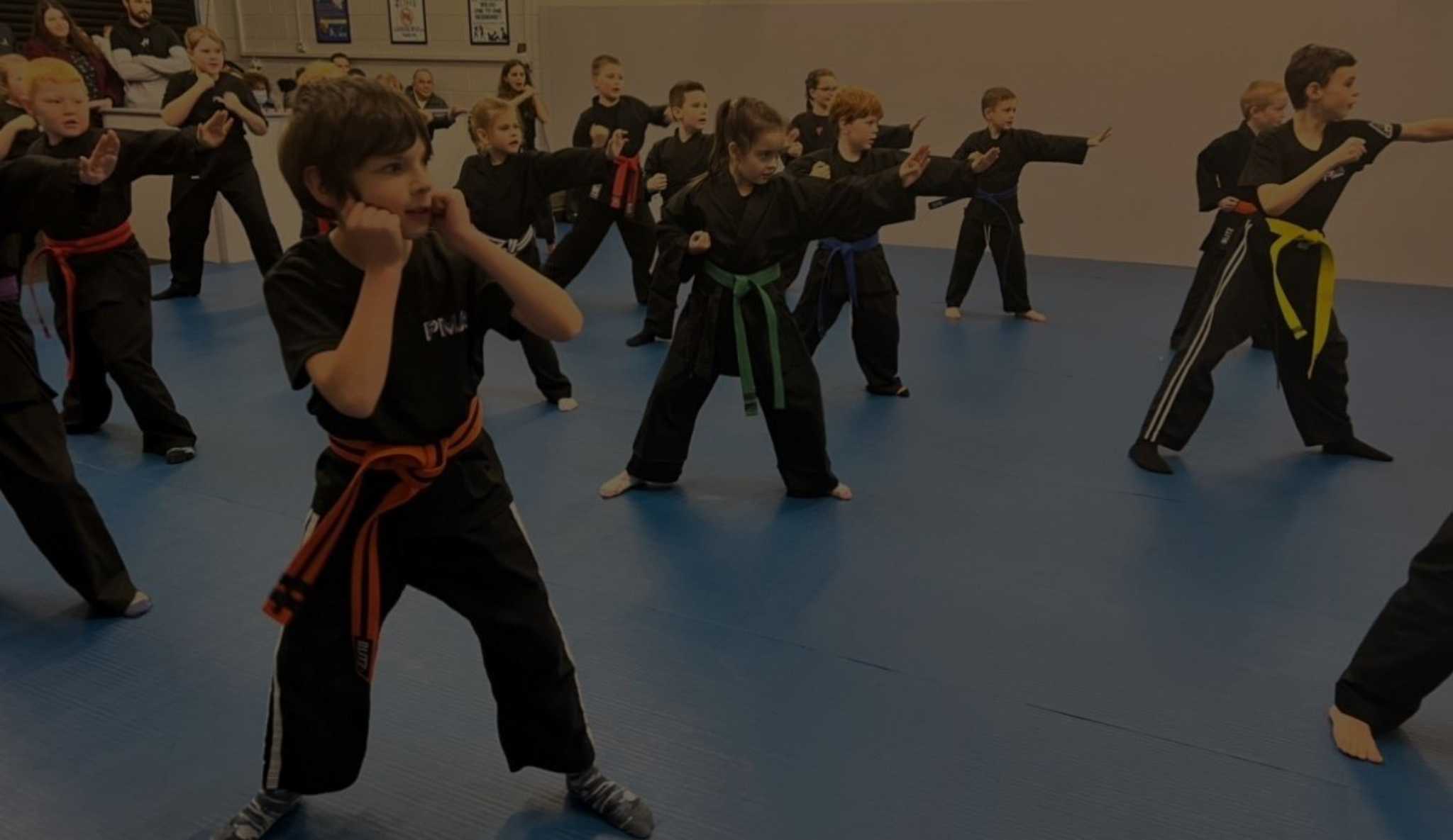 Main image of Pritchard's Martial Arts
