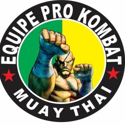 Main image of Pro Kombat