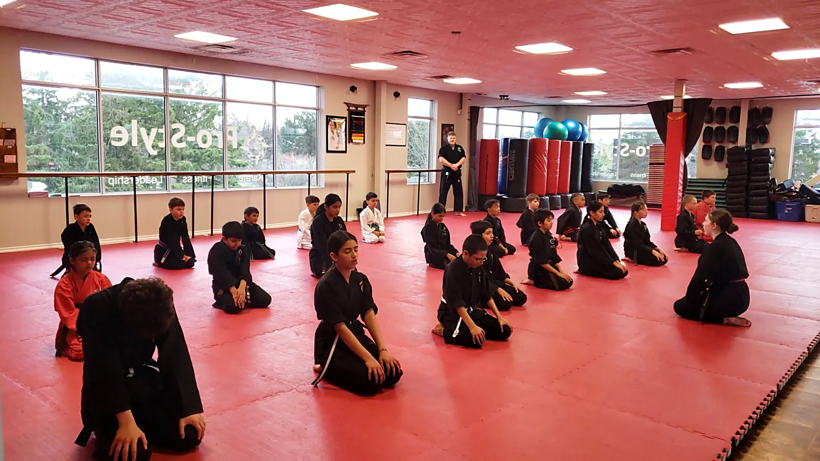 Main image of Pro-Style Martial Arts Academy