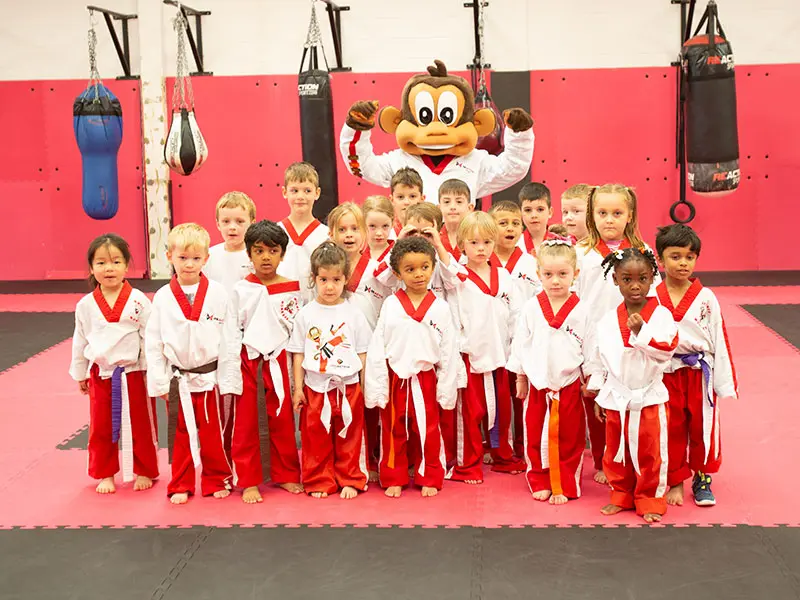 Main image of Proaction Martial Arts