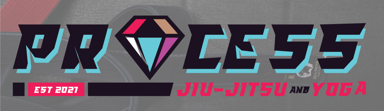 Main image of Process Jiu Jitsu