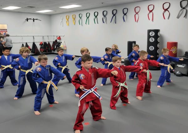 Main image of Professional Black Belt Academy