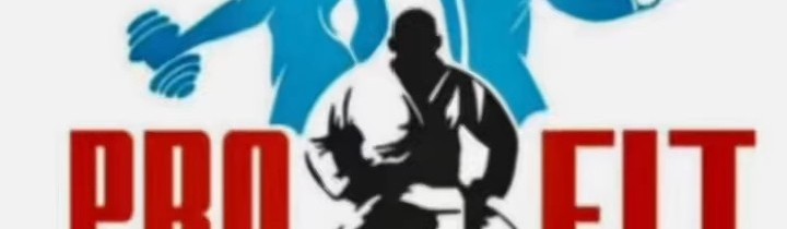 Main image of PROFIT