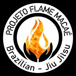 Main image of Projeto Flame