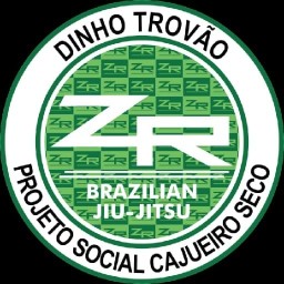 Main image of Projeto Social Dinho Trovão