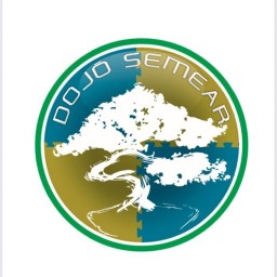 Main image of Projeto Social Dojô Semear