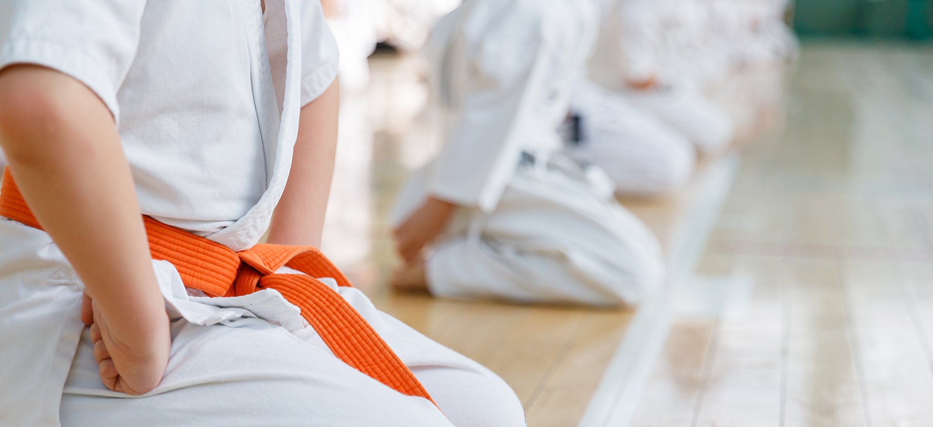 Main image of ProKarate Rockford