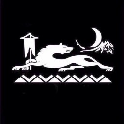 Main image of Promi bjj