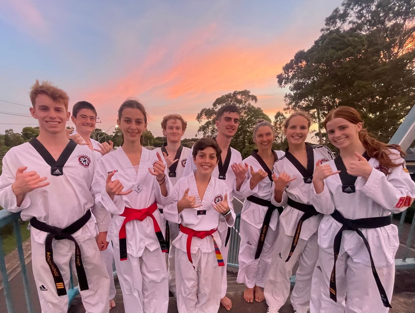 Main image of Psychkwondo
