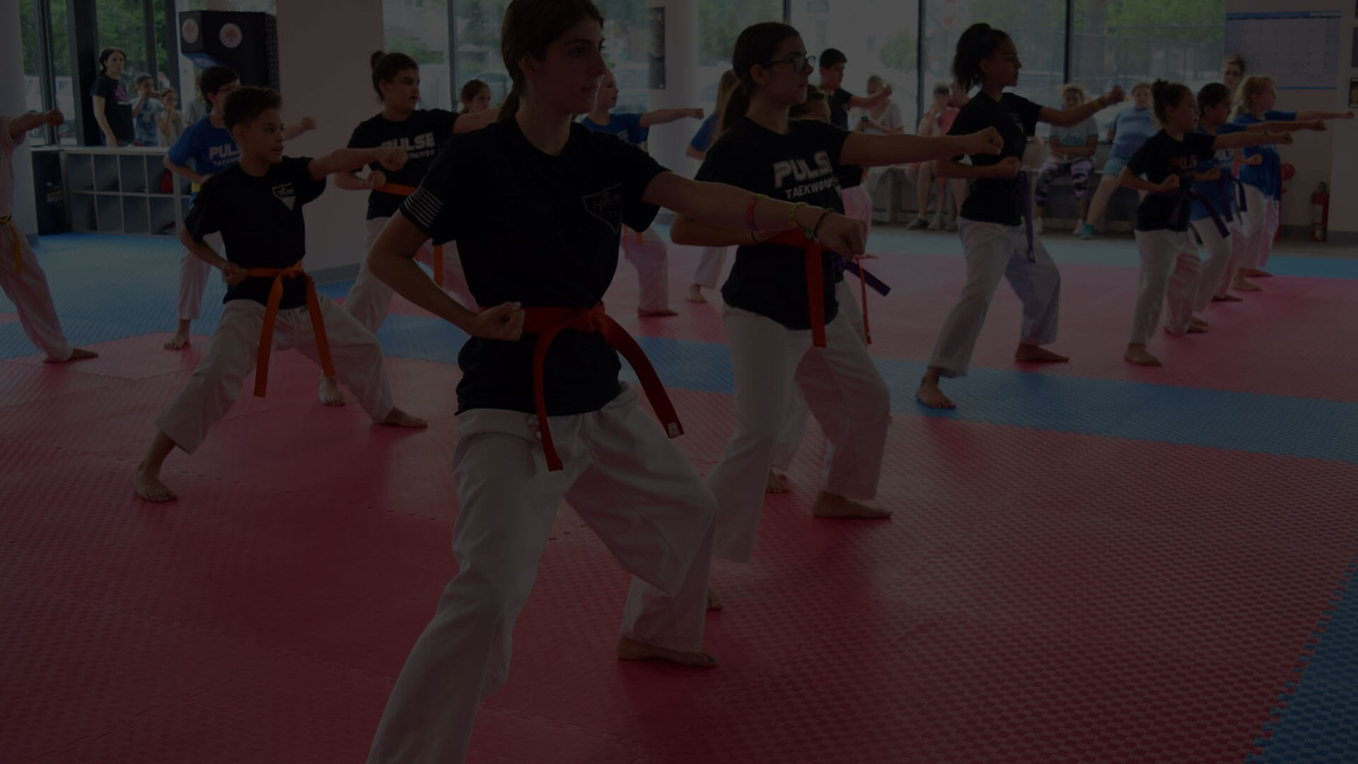 Main image of Pulse Taekwondo Center