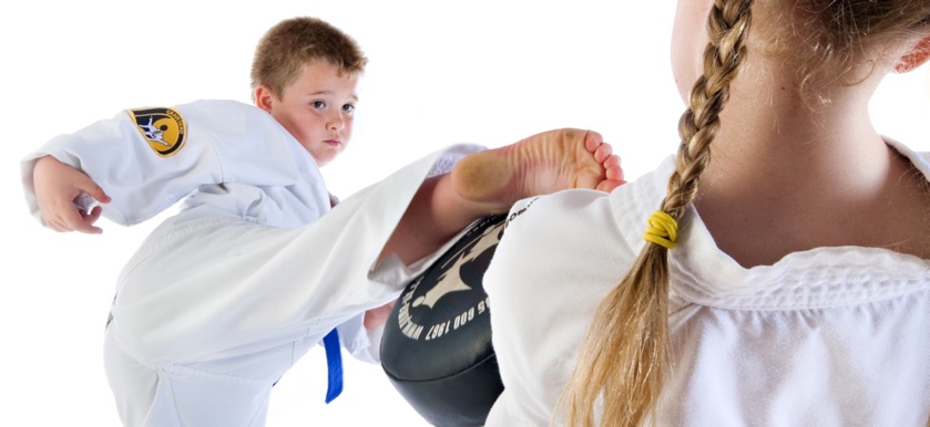 Main image of PUMA Martial Arts
