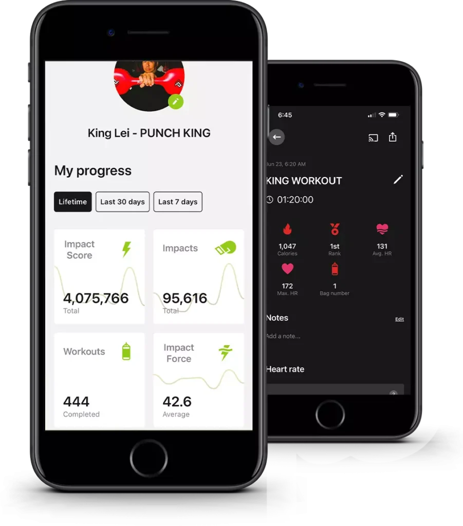 Main image of Punch King Fitness Sunset