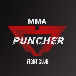 Main image of PUNCHER MMA FIGHT CLUB