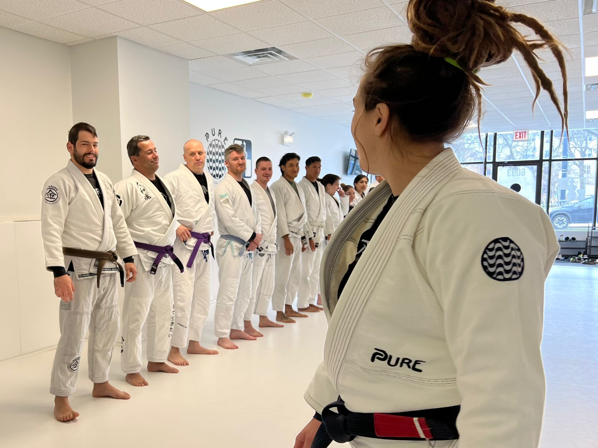 Main image of Pure Brazilian Jiu Jitsu