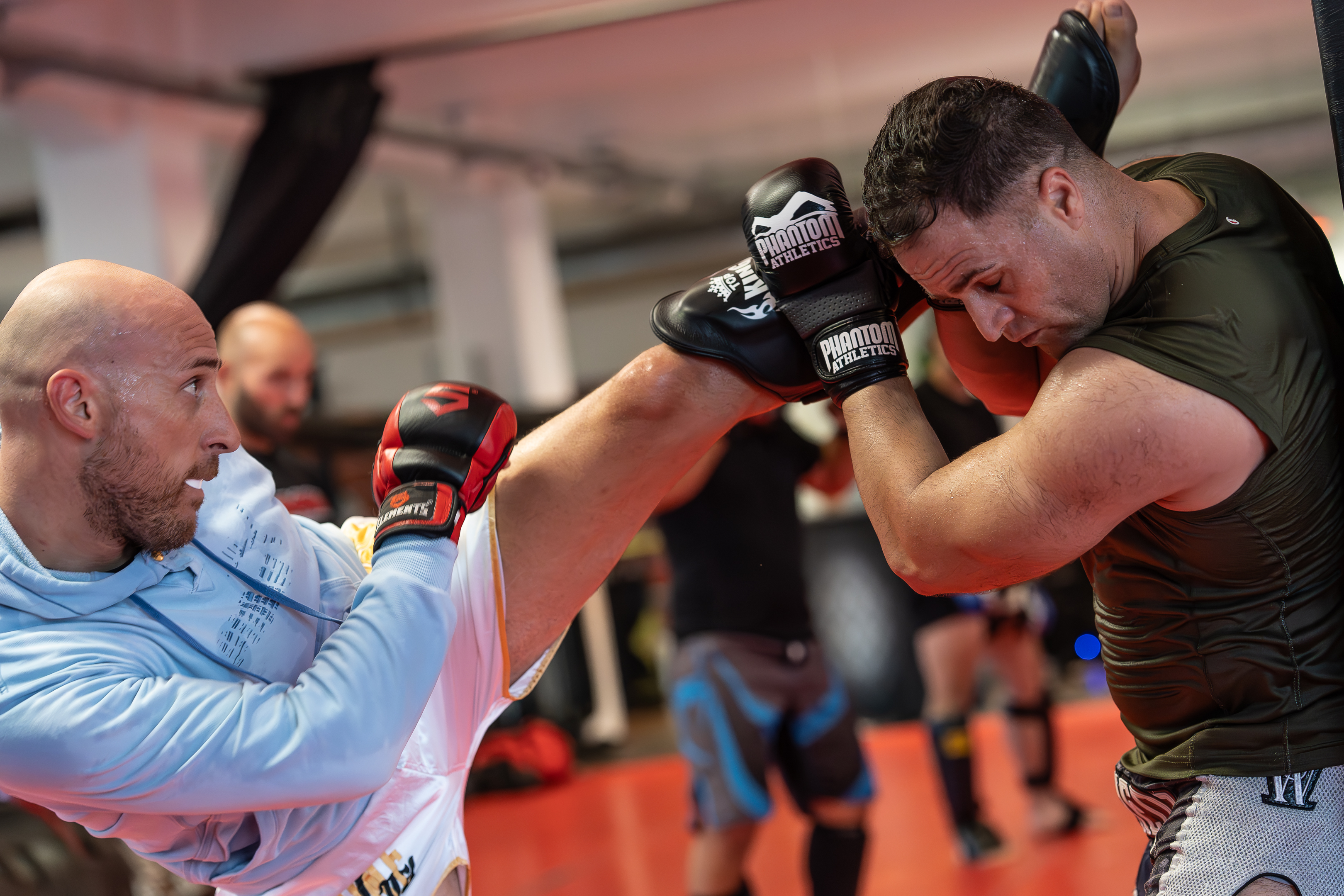 Main image of Pyranha MMA Wiesbaden